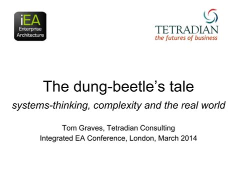  The Dung Beetle and the Tortoise - A Humorous Tale Exploring Themes of Perseverance and Ingenuity!